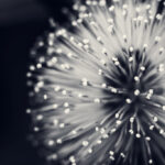 Openverse 6a9f761c Bb2b 498a A7f0 4ba8f9387fa3 150x150